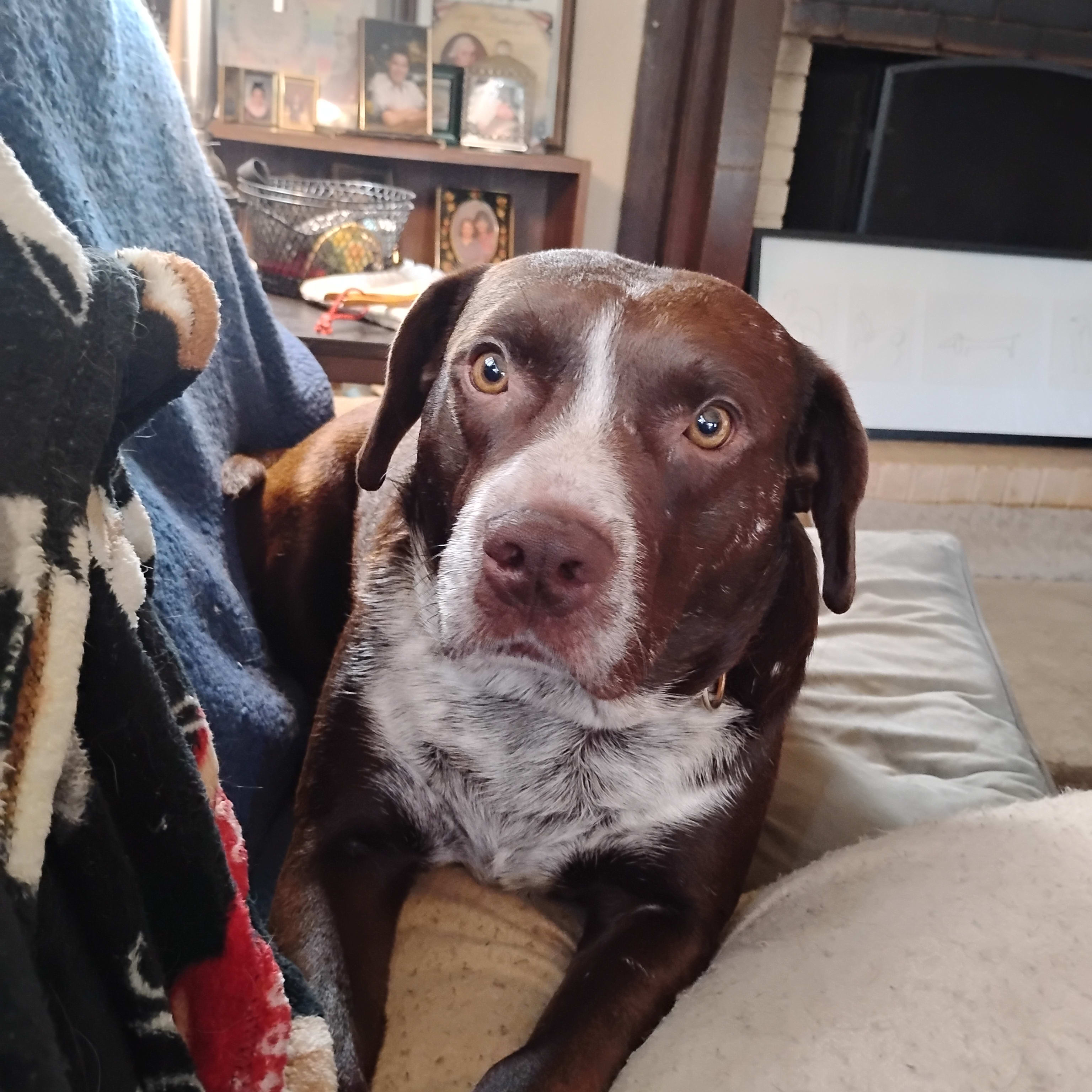 Romo