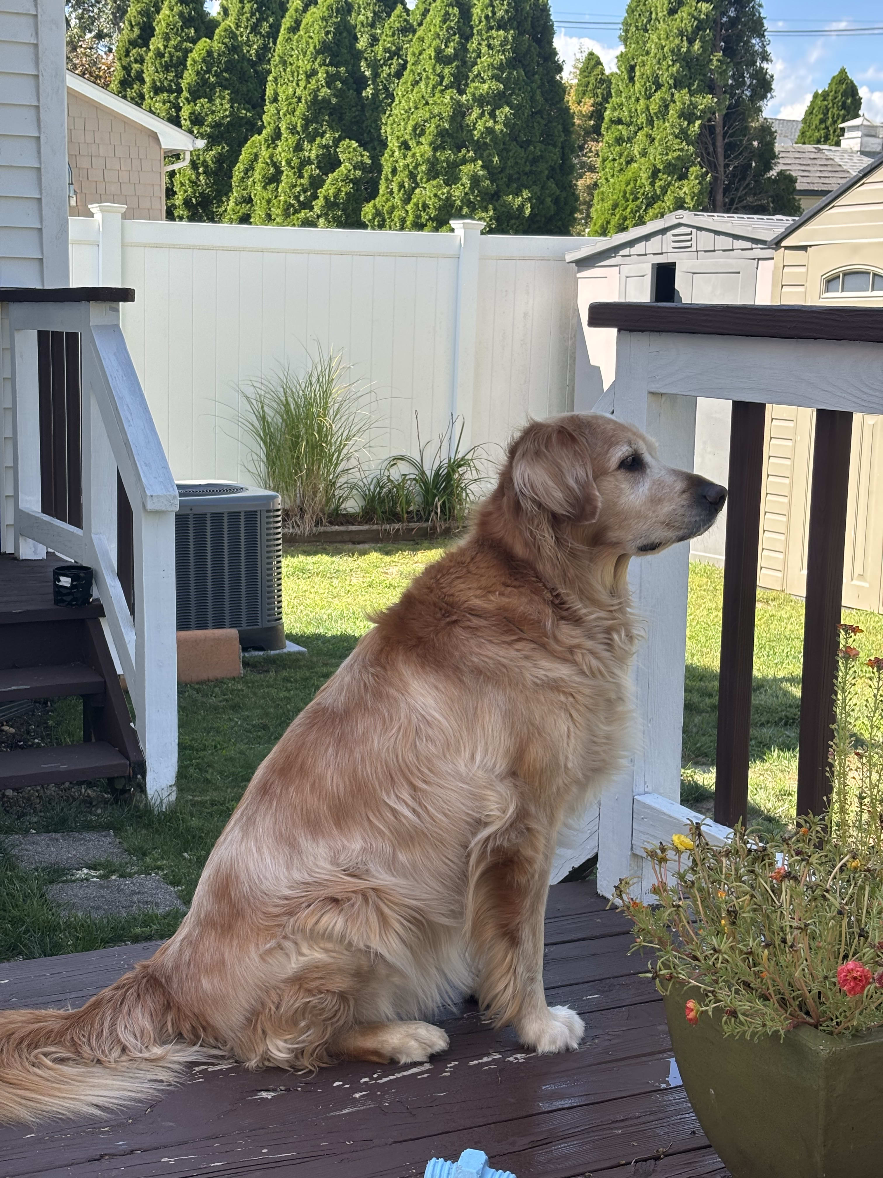 Sadie Stella