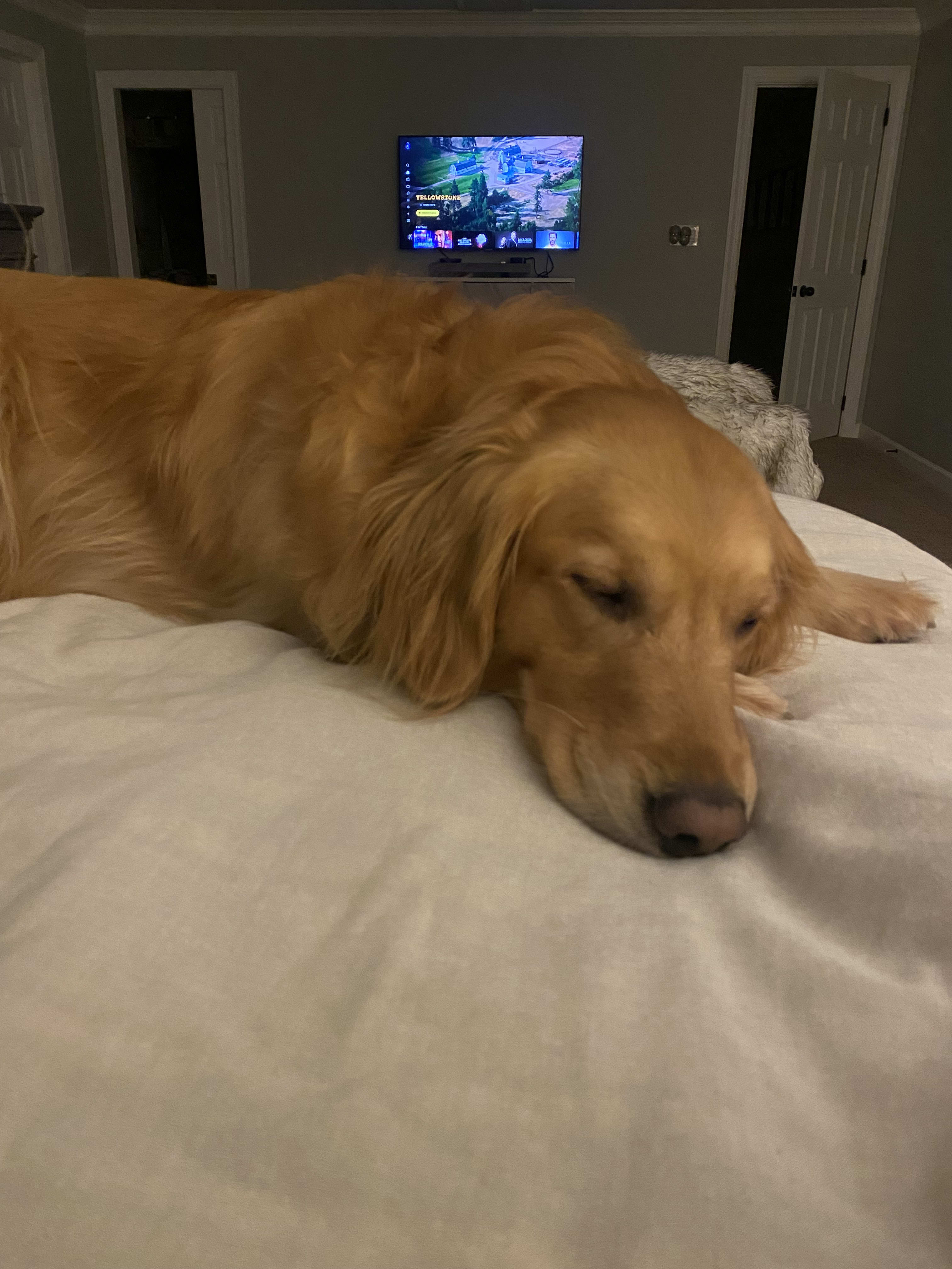 Sadie Stella