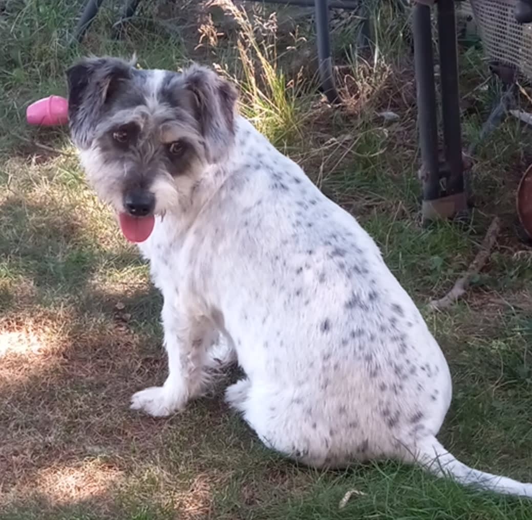 Millie