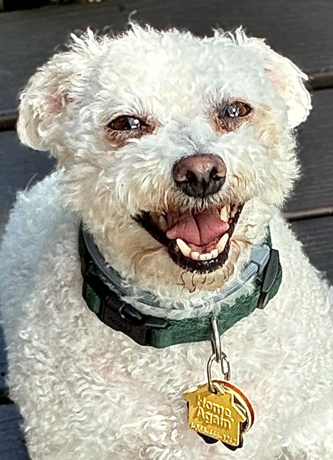 Penny