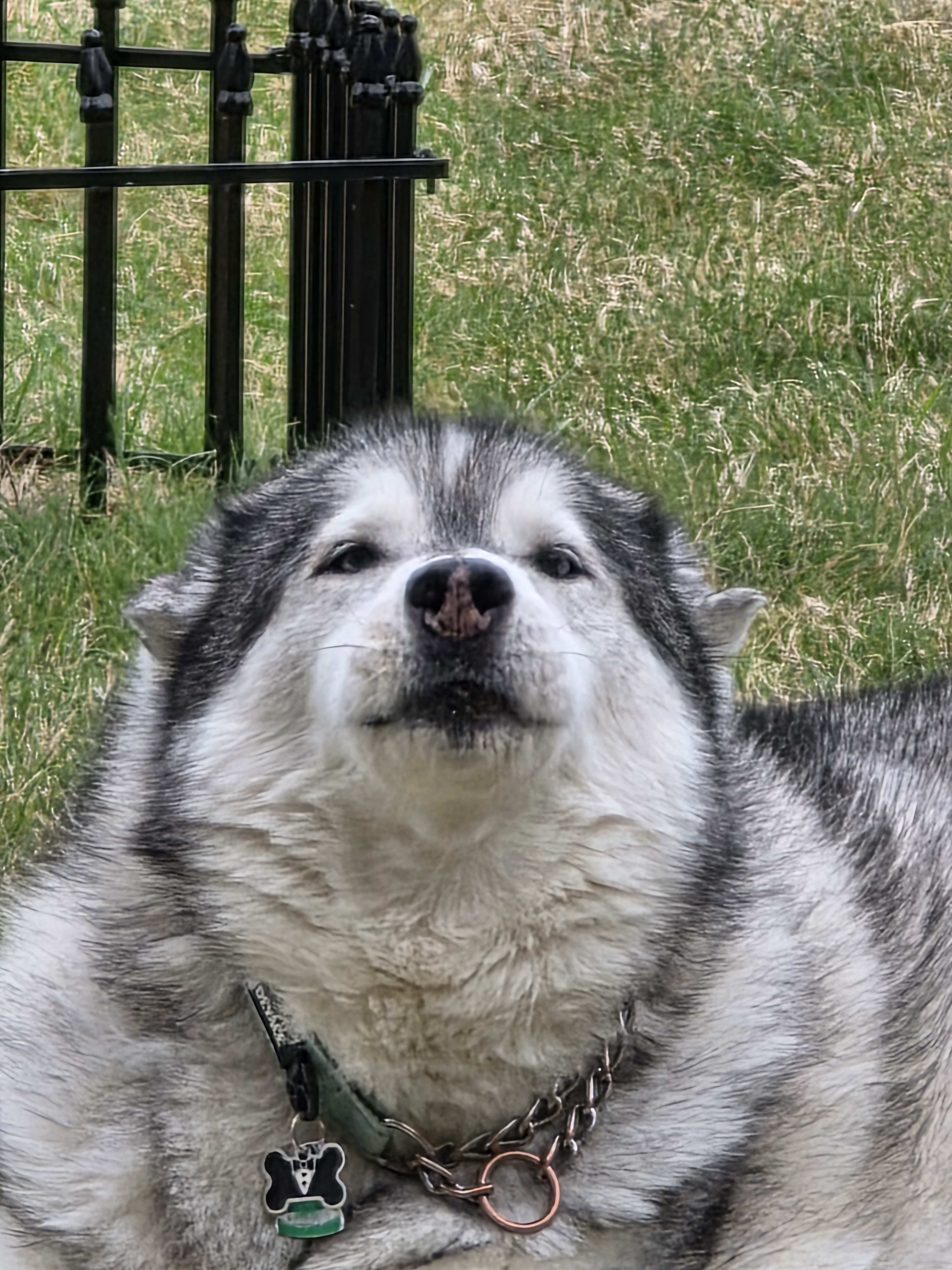 Thor