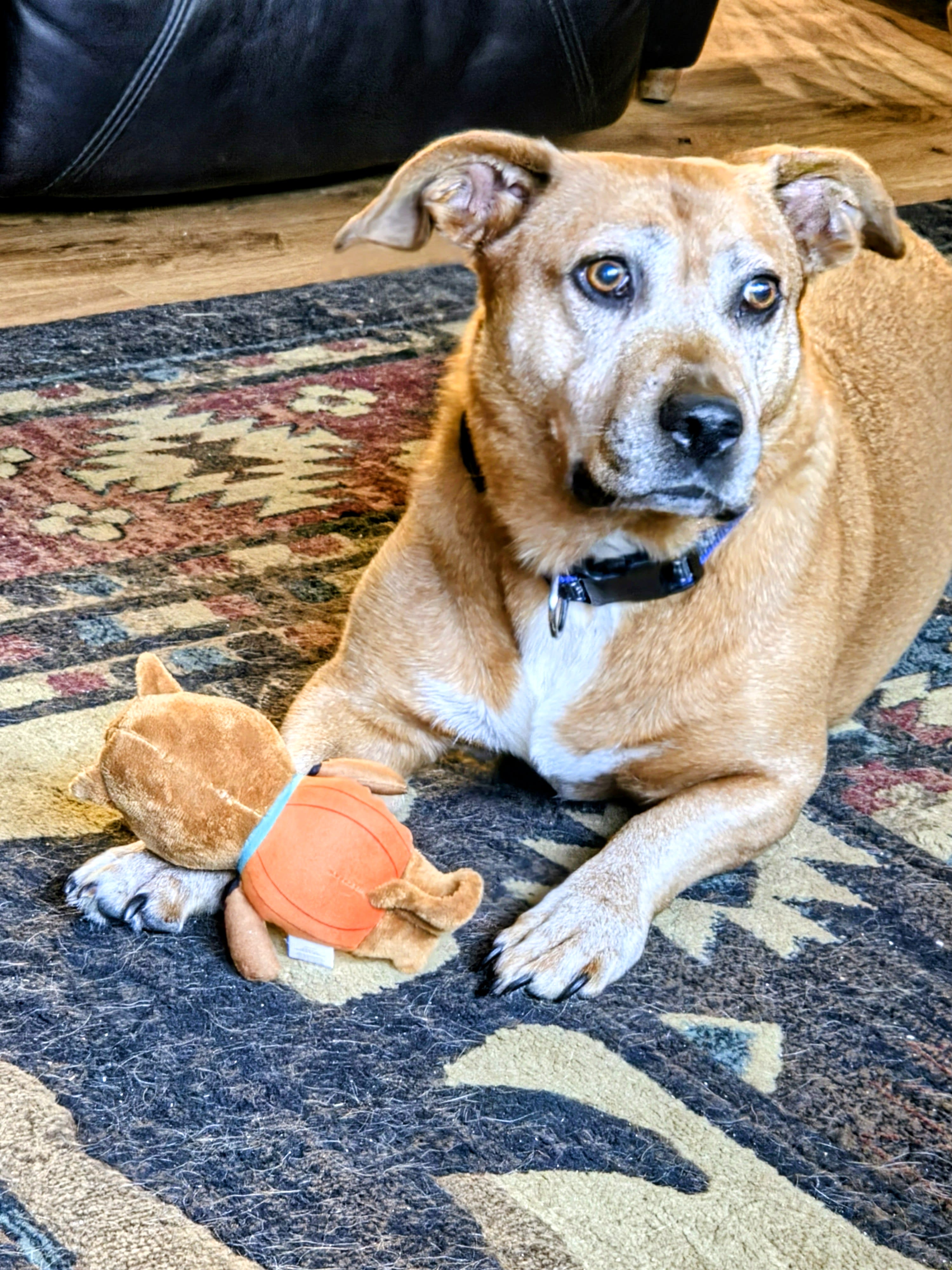 Scrappy Doo