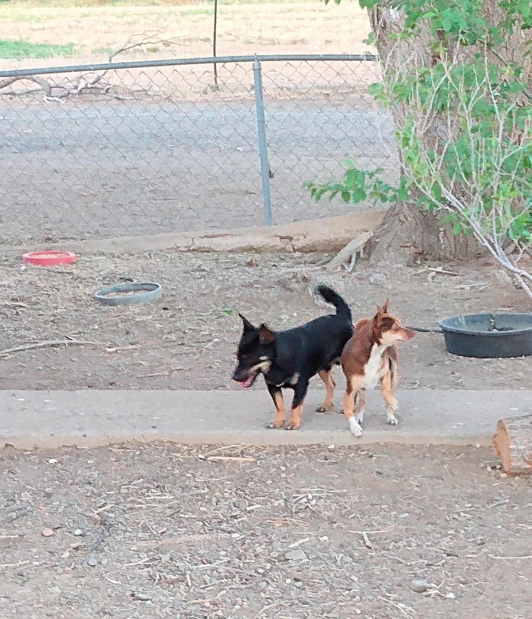 Murphey Murphey