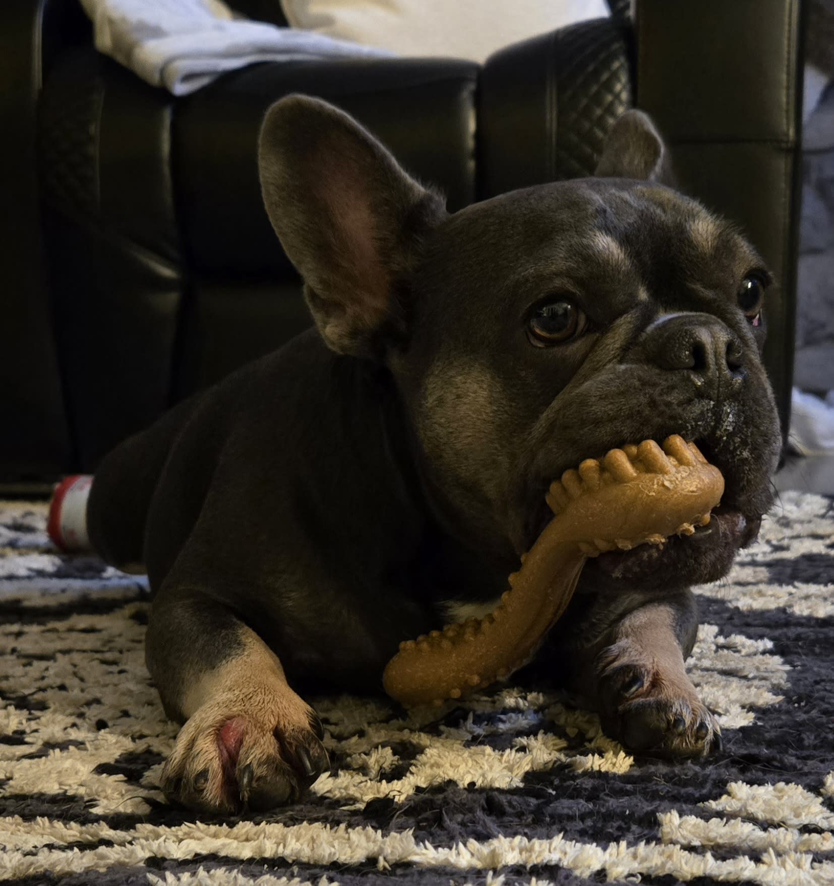 MeatBall