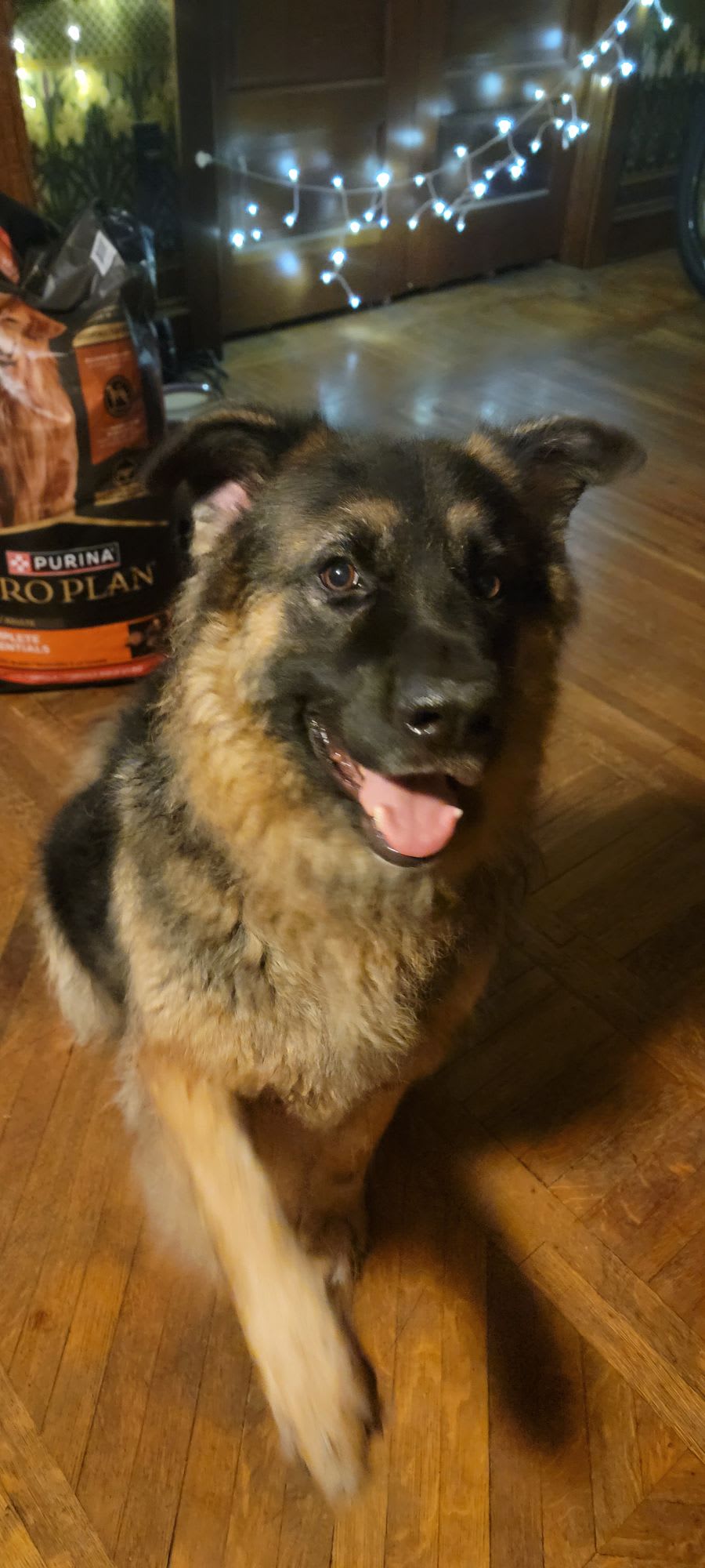 Dakota