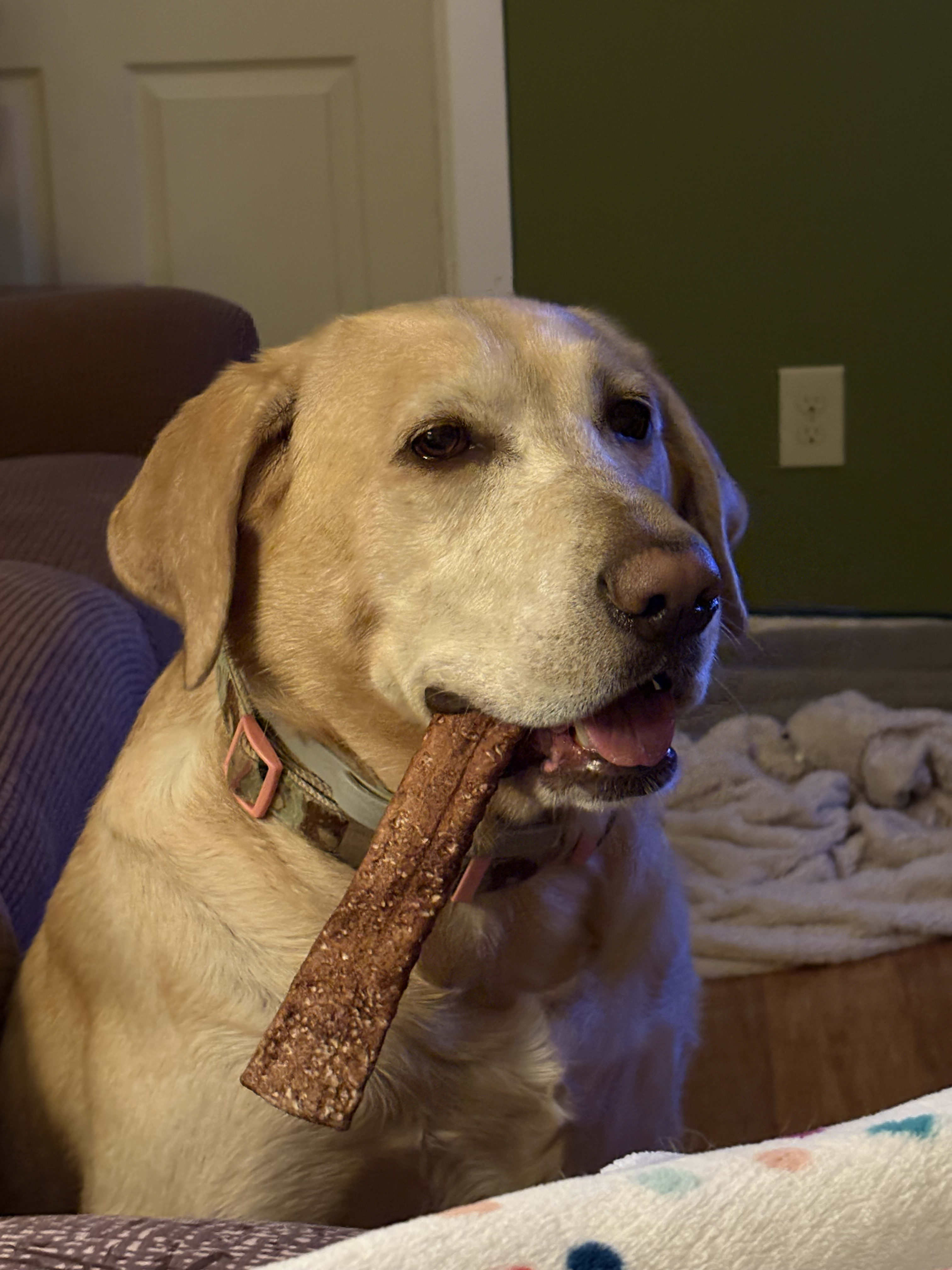Ellie Mae