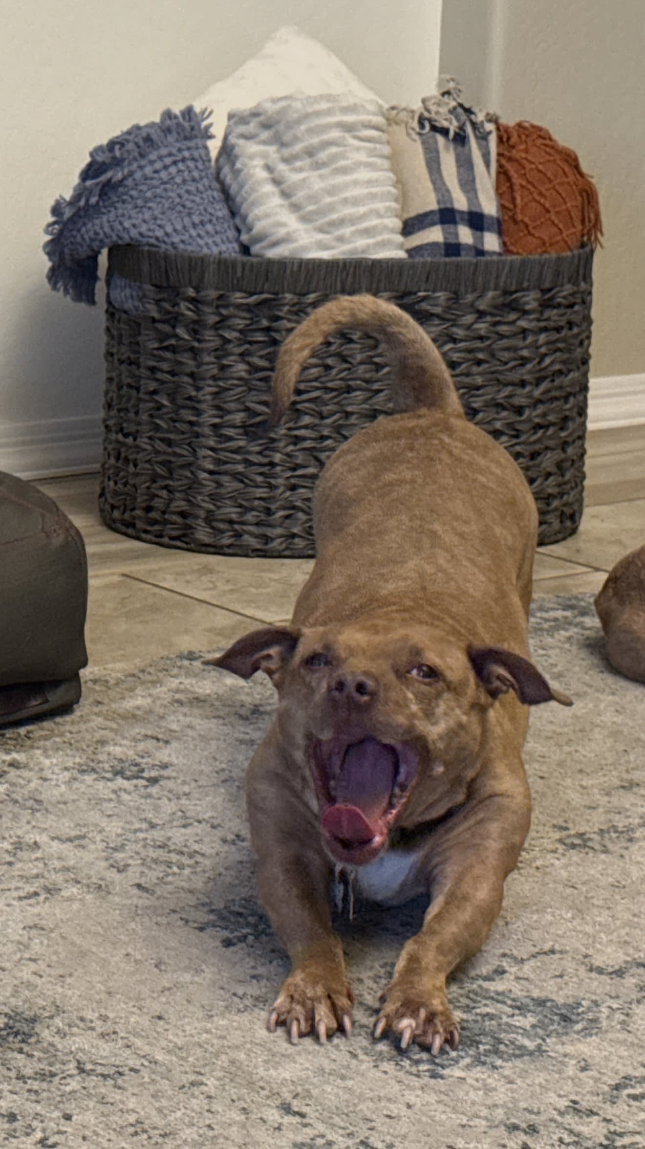 Pepper