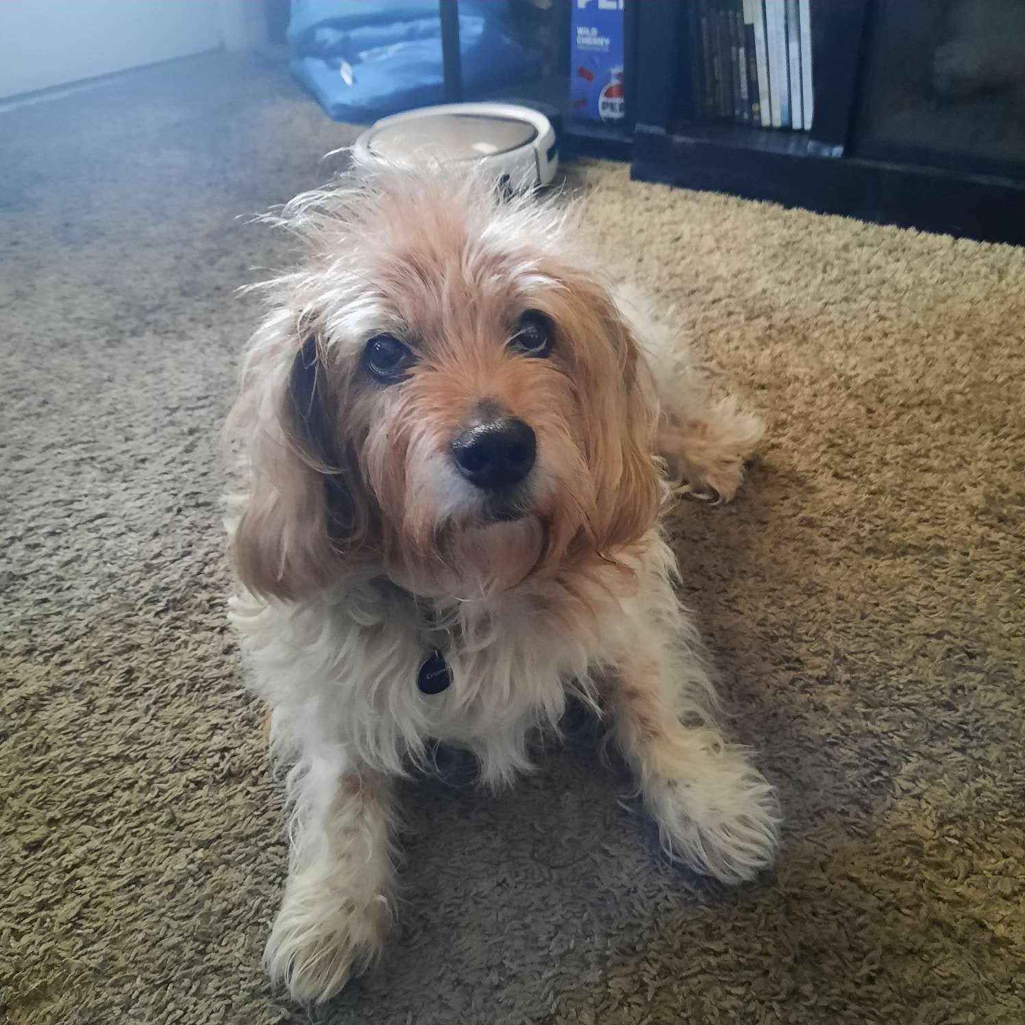 Roxy