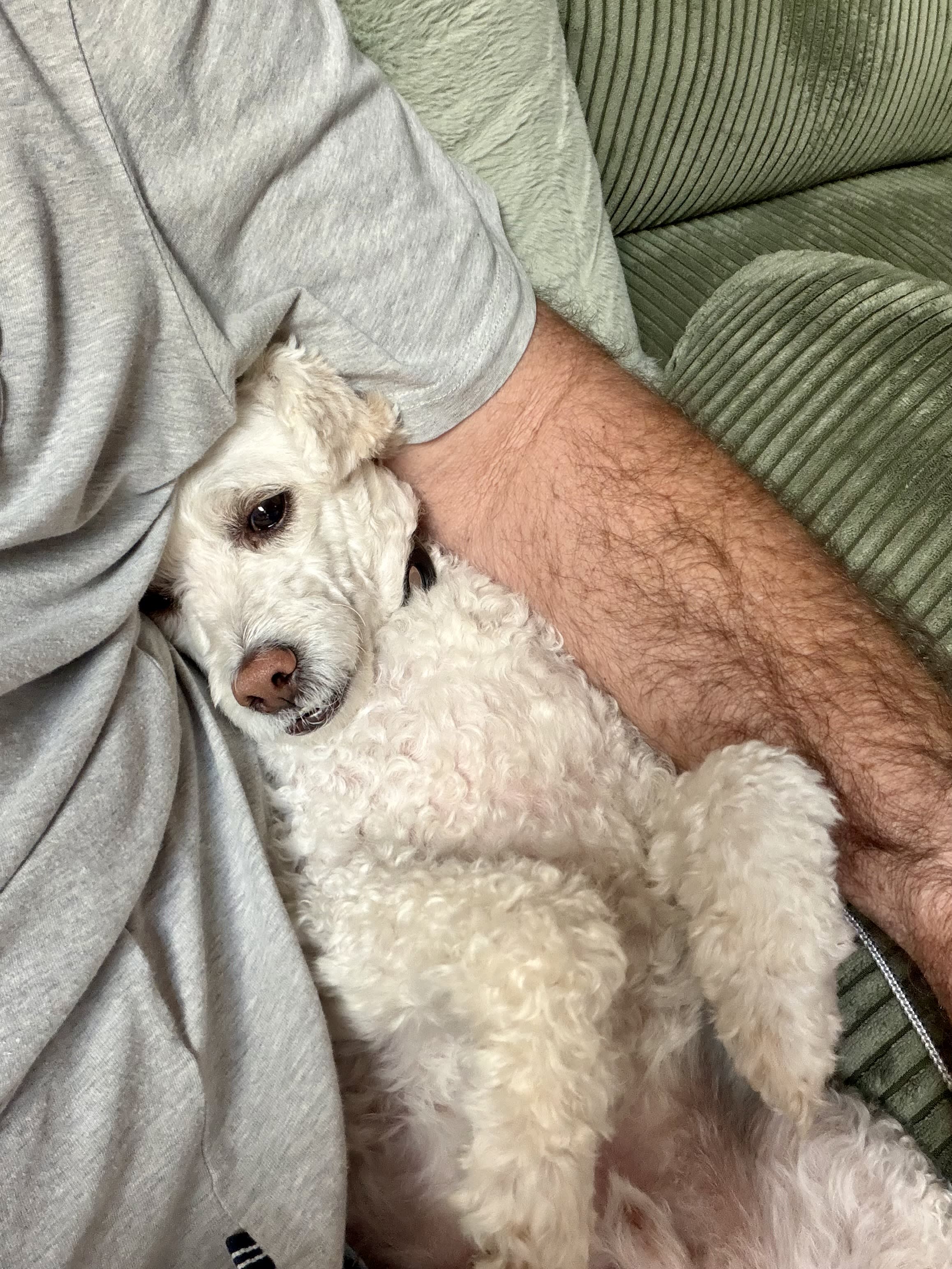 Artie