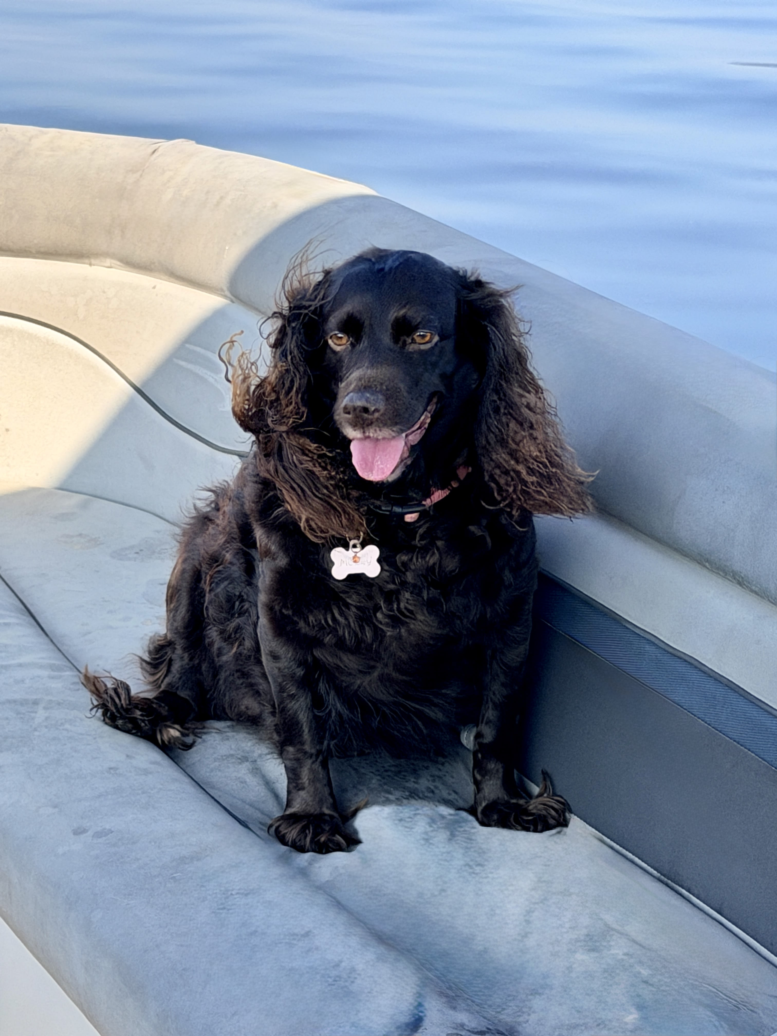 Molly