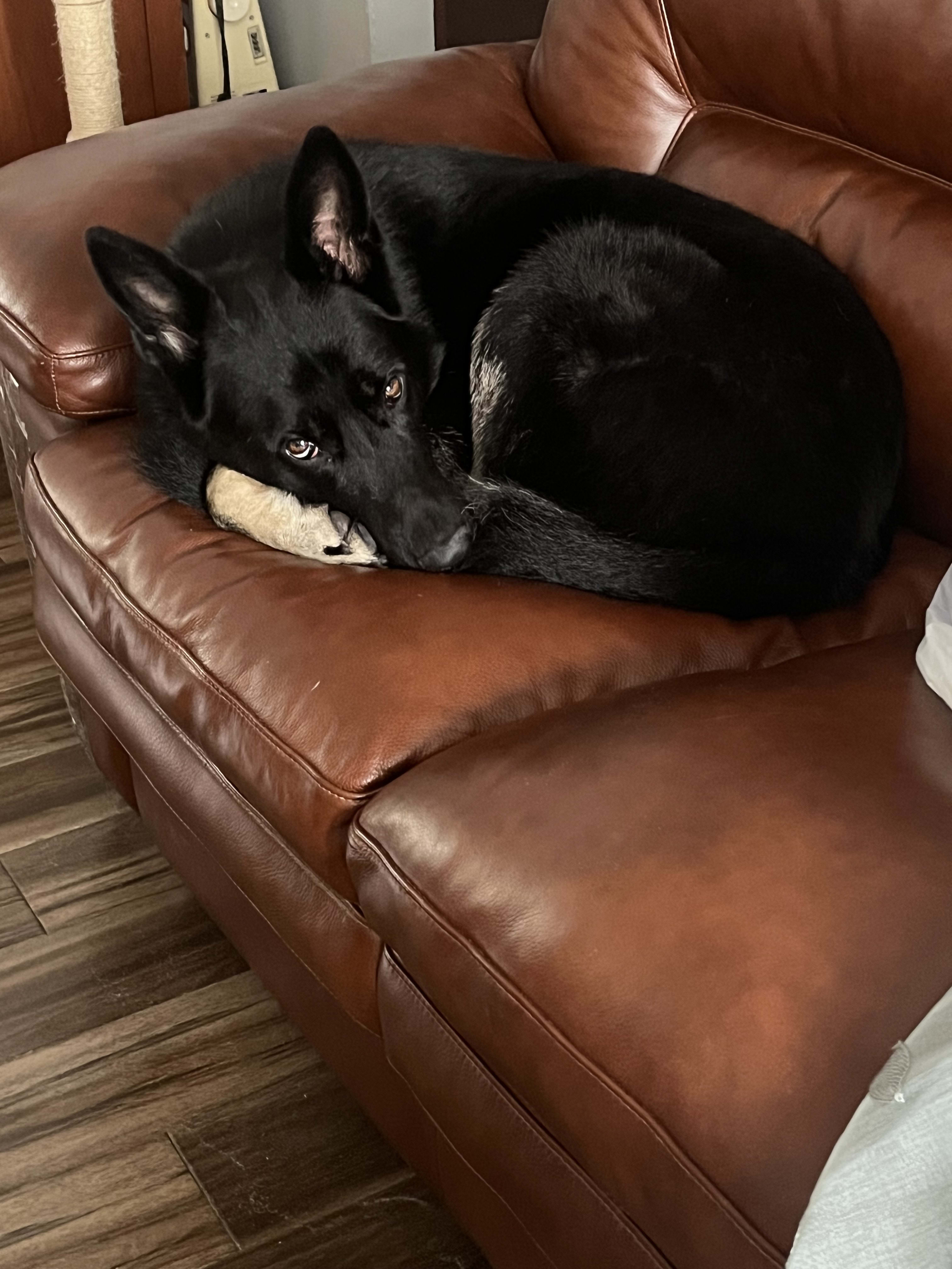 Milo