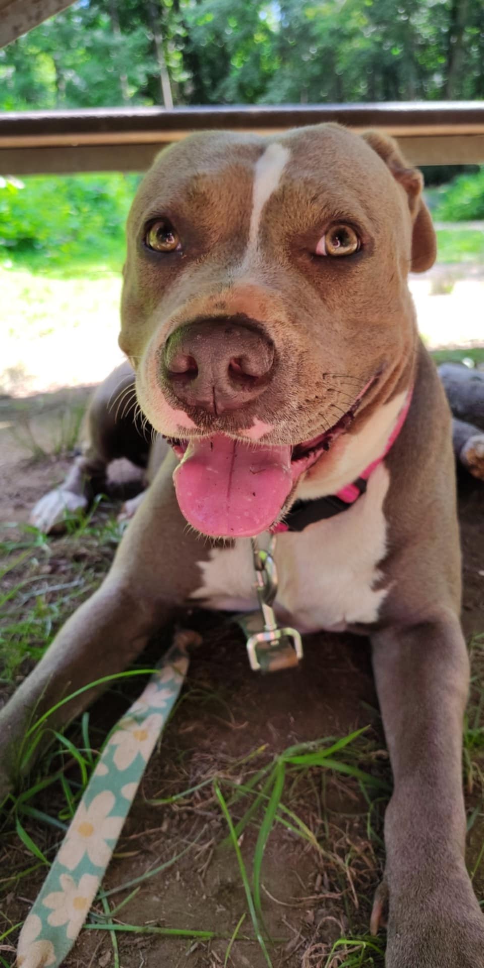 Honey Mae Honey Mae