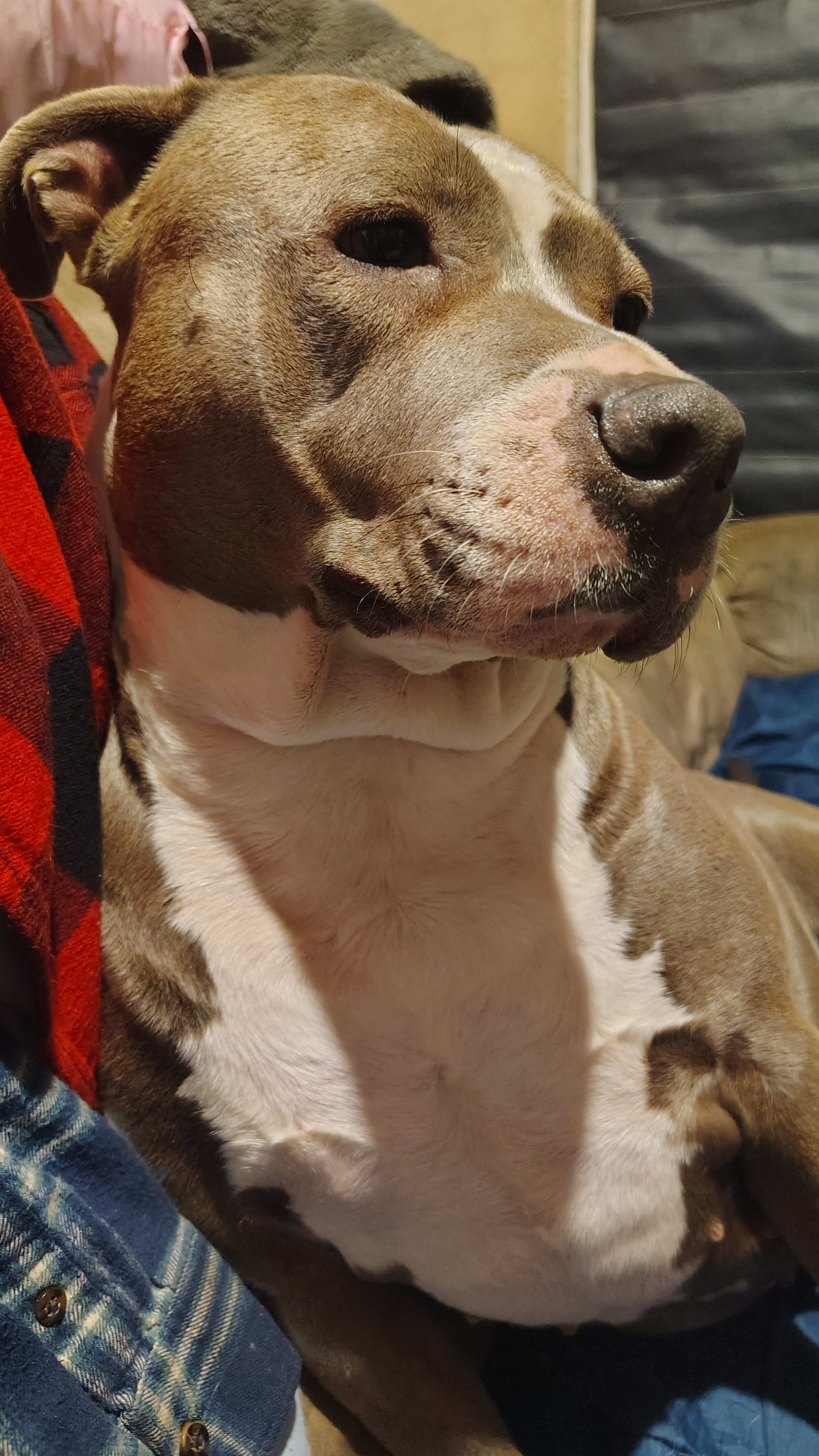 Honey Mae Honey Mae