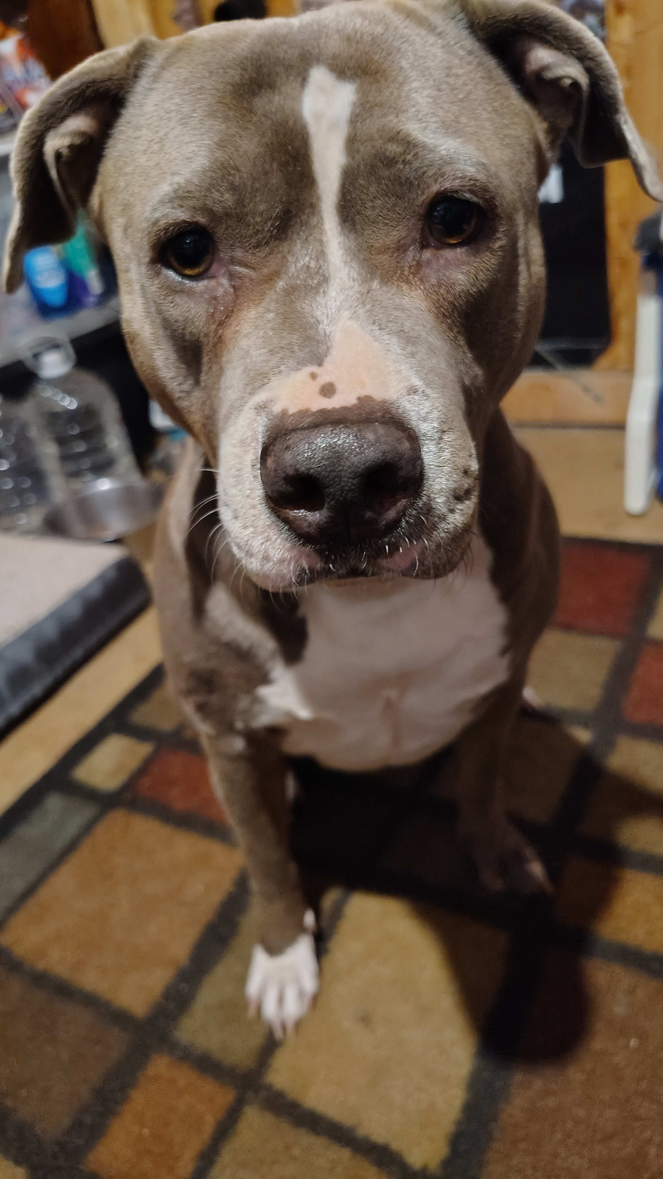 Honey Mae Honey Mae