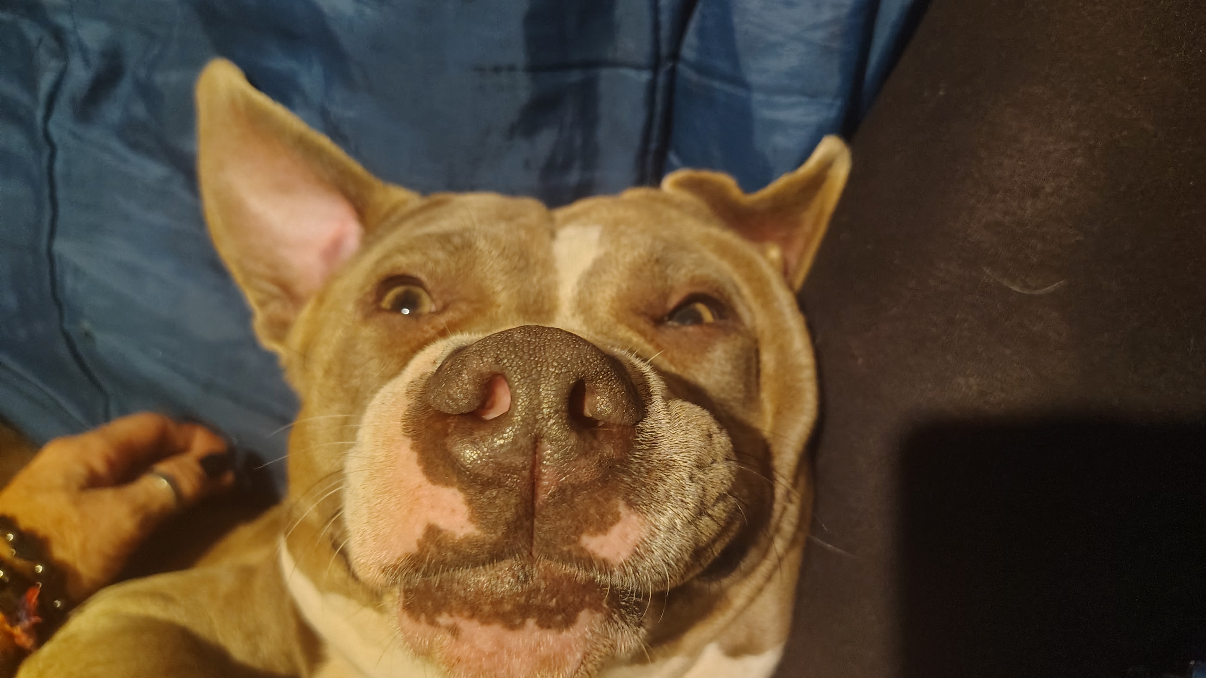 Honey Mae Honey Mae