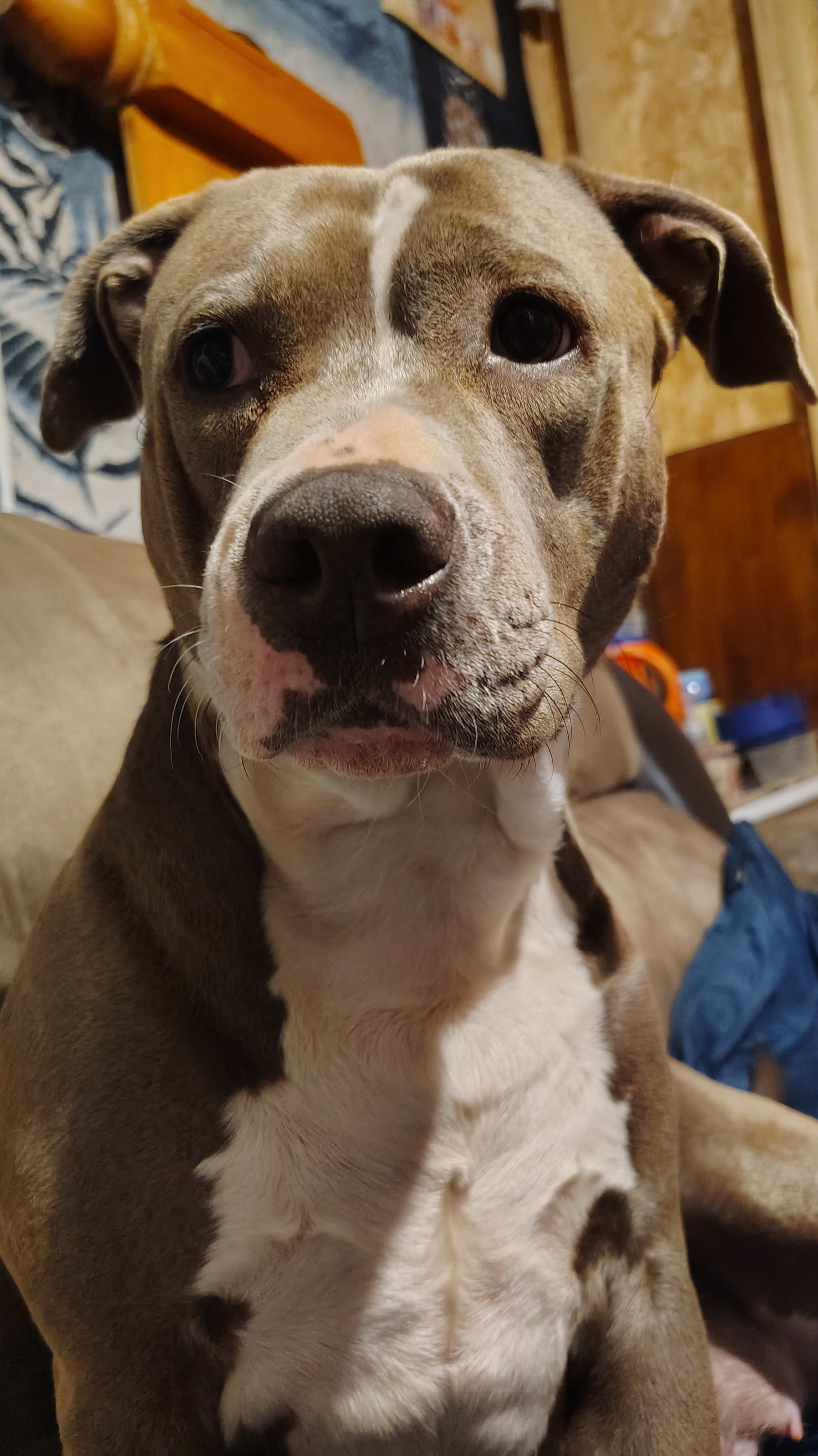Honey Mae Honey Mae