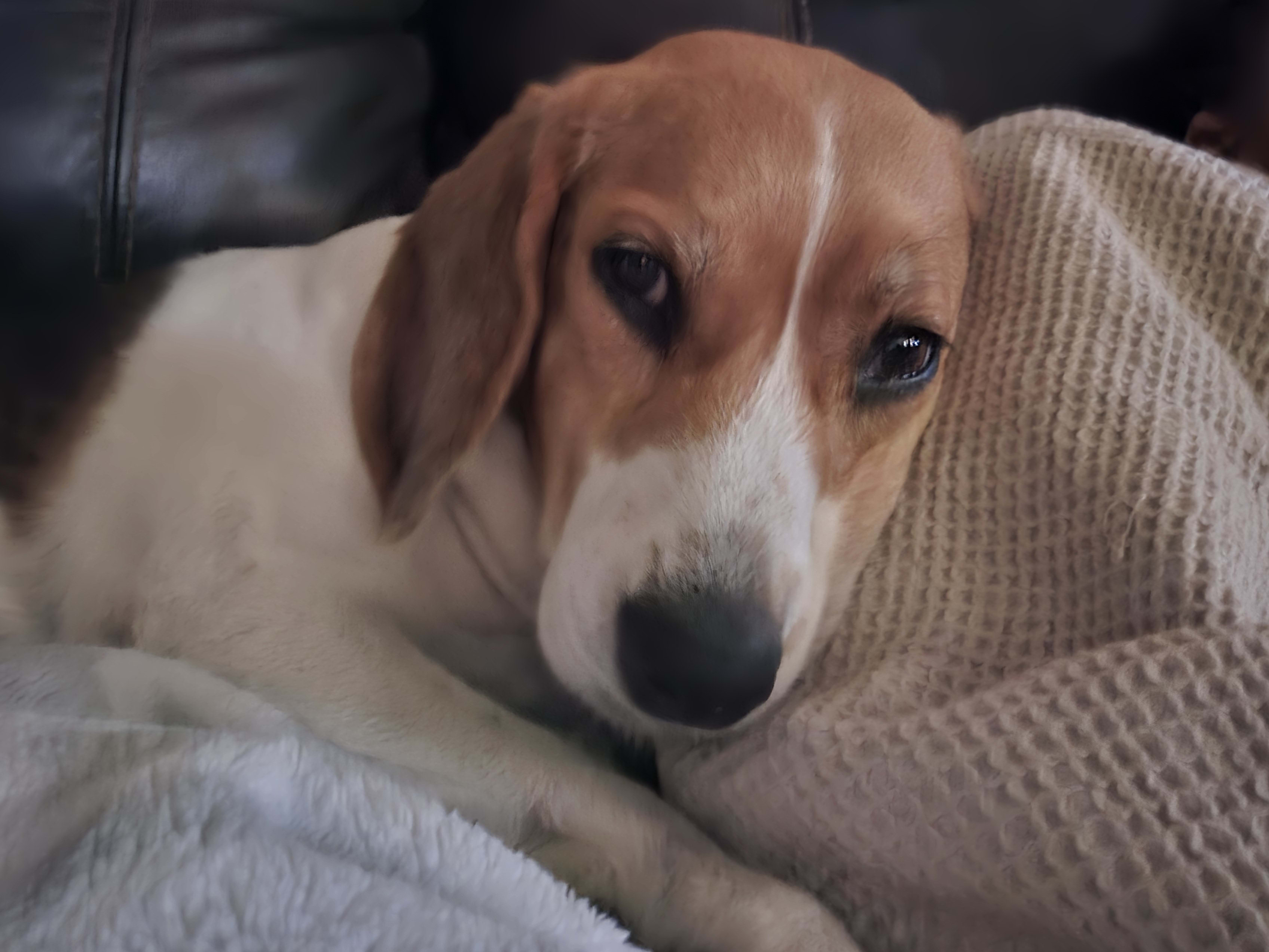 Maggie