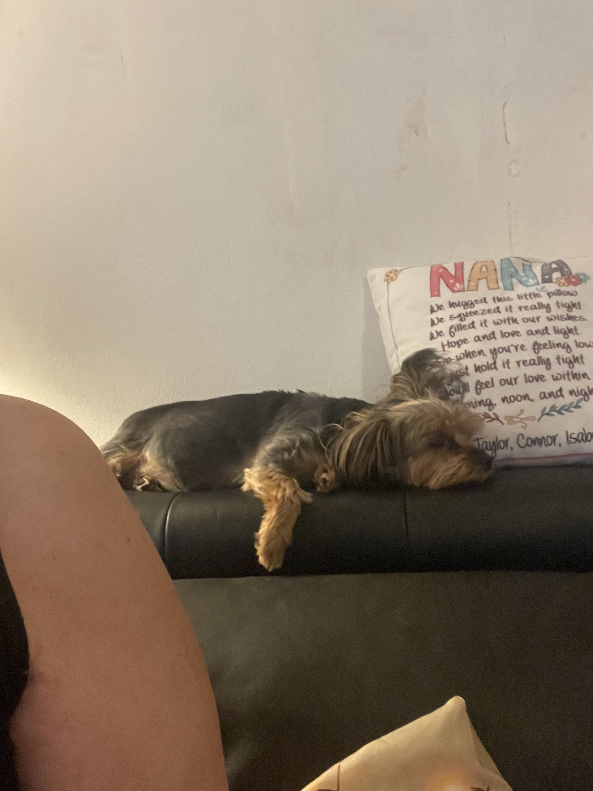 Bella