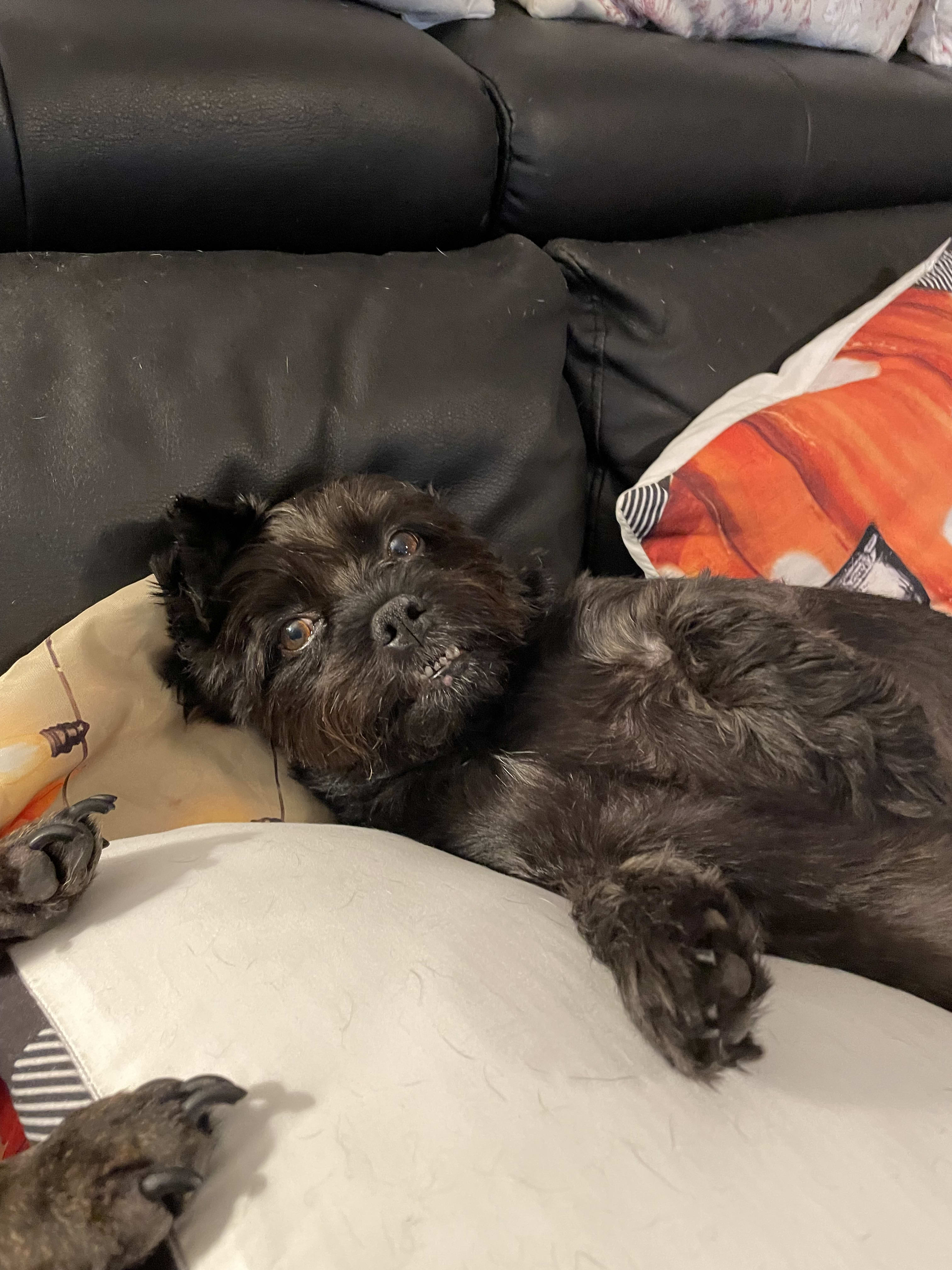 Bella