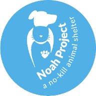 Noah Project