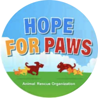 Hope for paws