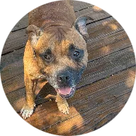 PittyMom