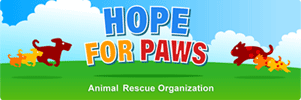 Hope for paws