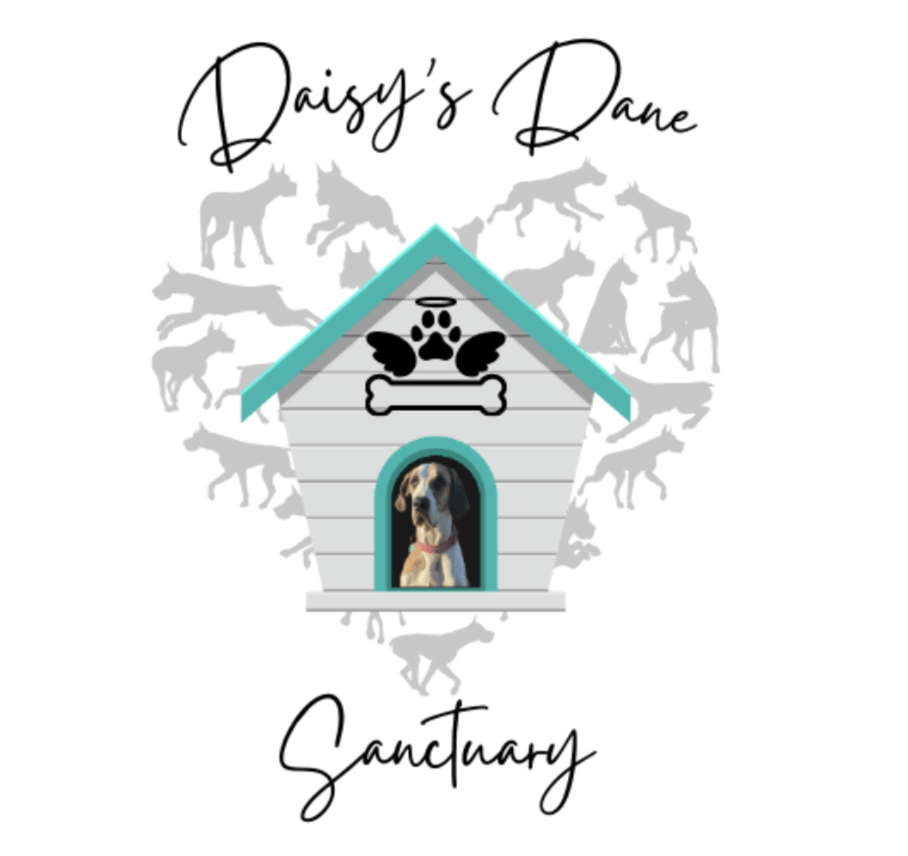 Daisy's Dane Sanctuary