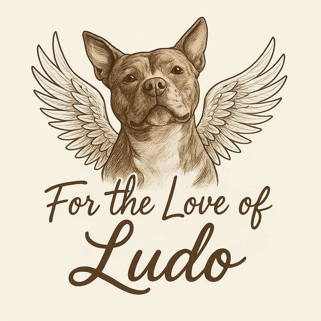 For the Love of Ludo