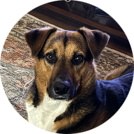 Ichosethdog