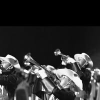 Lisa Marie Scheffer