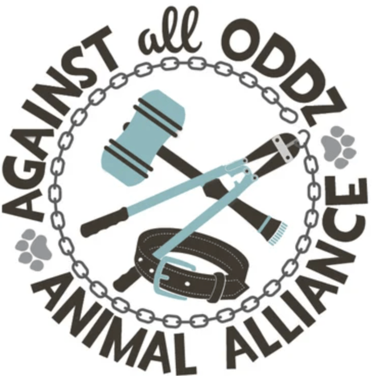 AGAINST ALL ODDZ