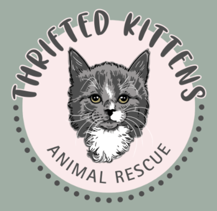 Thrifted Kittens Animal Rescue