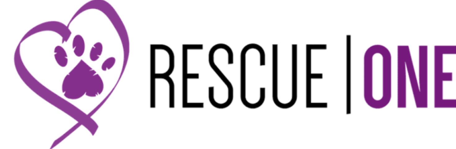 Rescue One