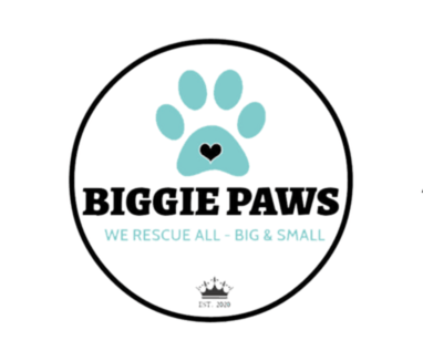 Biggie Paws Rescue