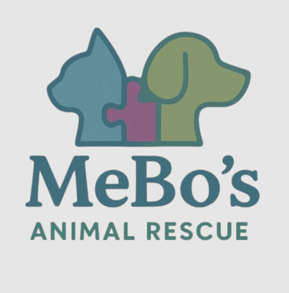Mebo’s Animal Rescue