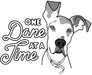 One Dane At A Time