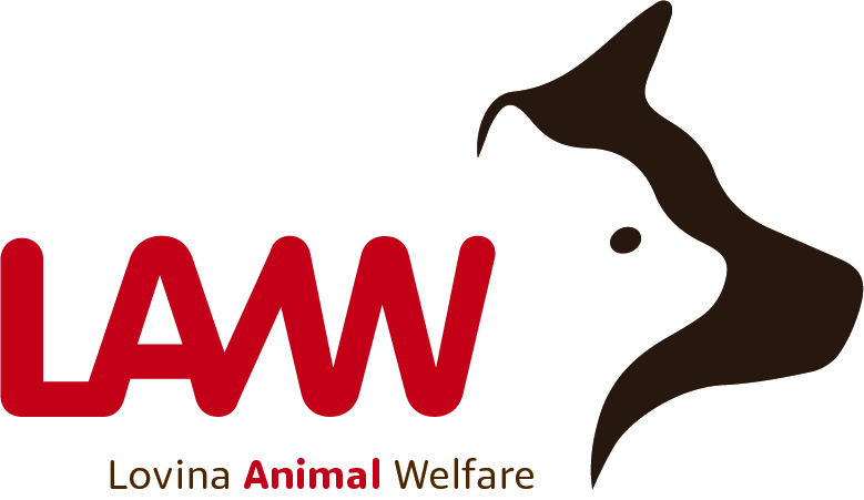 Bali Aid - Lovina Animal Welfare