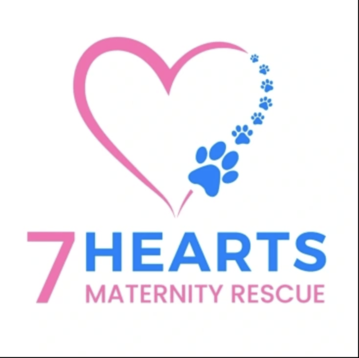 7 Hearts Maternity Rescue
