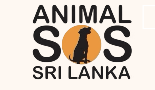 Animal SOS Sri Lanka