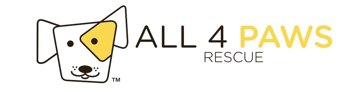 all 4 paws rescue