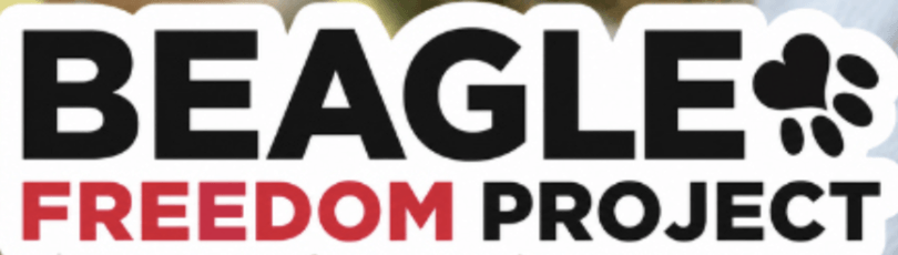 Beagle Freedom Project