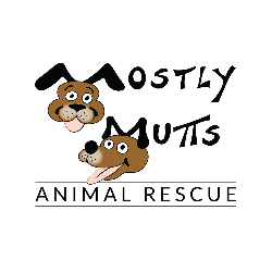 Mostly Mutts in Kennesaw, Georgia