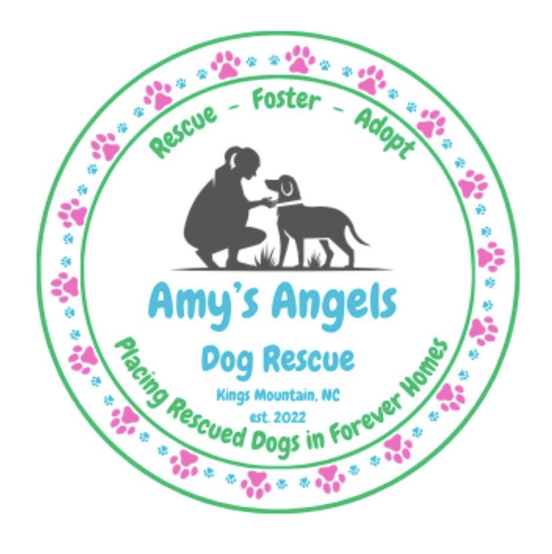 Amy's Angels