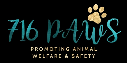716 PAWS Rescue (Promoting Animal Welfare and Safety)