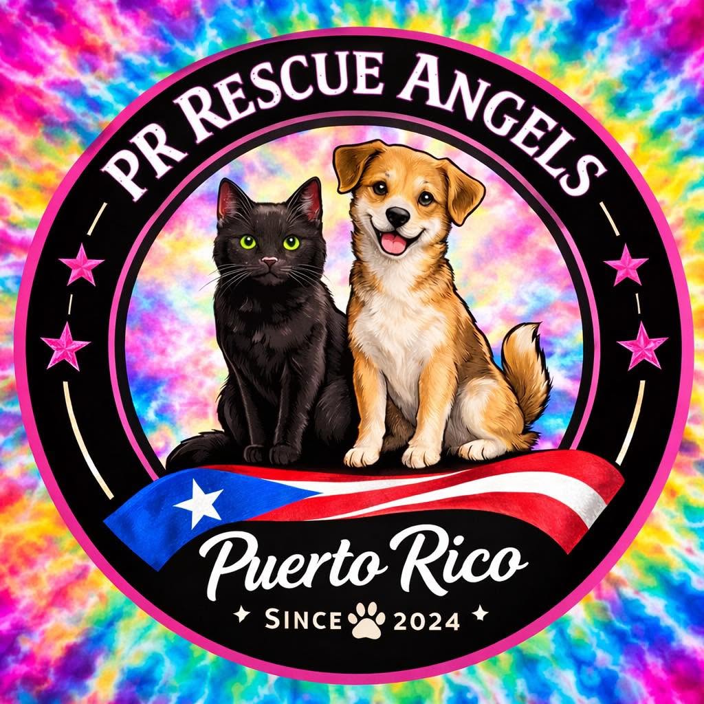 PR Rescue Angels