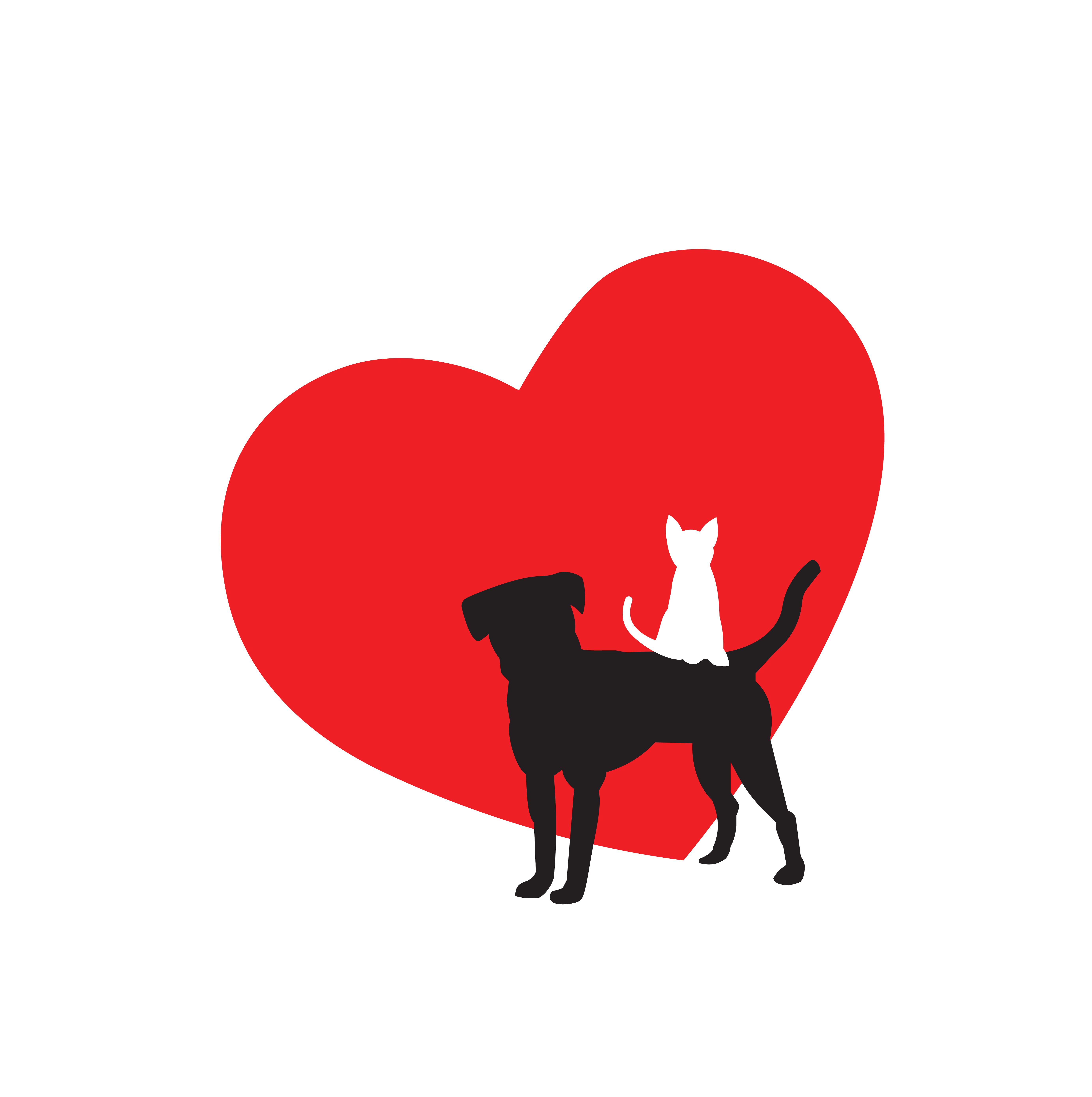 Special Pals